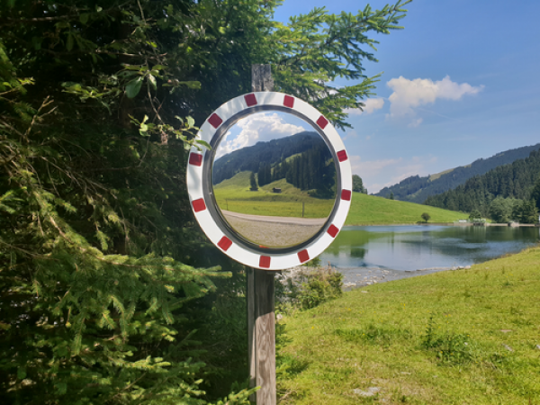 Verkehrsspiegel Lite Plus - Ice-free